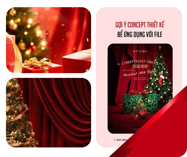 Tổng hợp tài nguyên Thương Mại Điện Tử